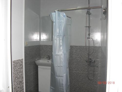 uma casa de banho com um chuveiro, um WC e um lavatório. em Villa House Georgia em Tbilisi
