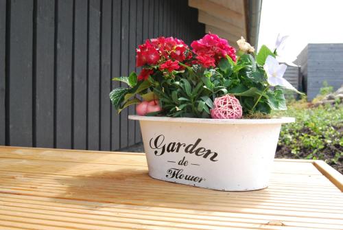 a potted plant sitting on top of a table at Daenisches Ferienhaus an der Ostse in Zierow