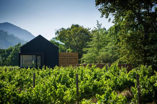 a black house in the middle of a vineyard at Gite in Franschhoek