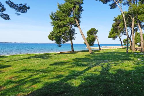 a park on the beach with trees and the water at Mobile Homes Camp Pineta - Adriatic Kampovi in Fažana