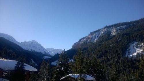 a view of a mountain valley with snow covered mountains at Müllershus in Langwies