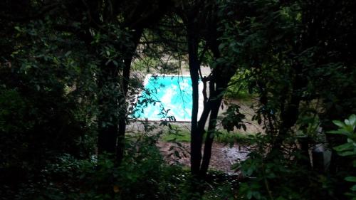 Afbeelding uit fotogalerij van Casa Montseny con piscina,bosque in Sant Pere de Vilamajor