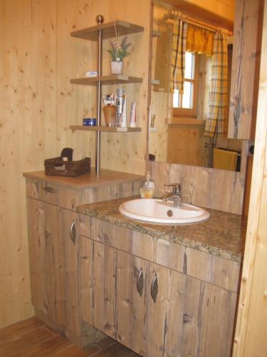 a bathroom with a sink and a mirror at Pichelhütte in Murau