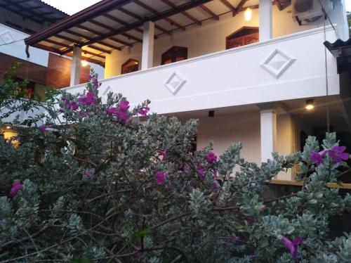 a bush with purple flowers in front of a building at Villa Mihindi in Hikkaduwa