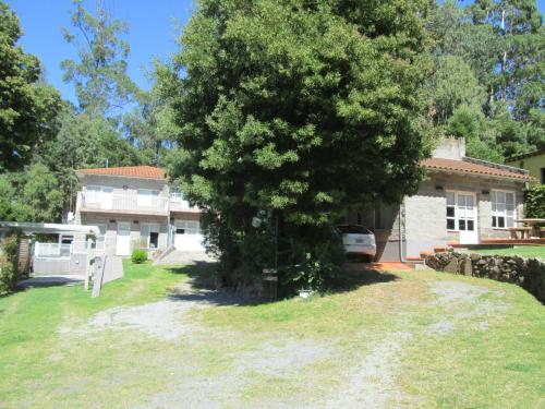 a tree in the yard of a house at La Casa de Liber in Tandil