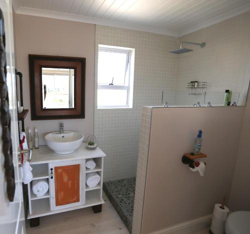 a bathroom with a sink and a mirror at Reddoor Studio in Pringle Bay