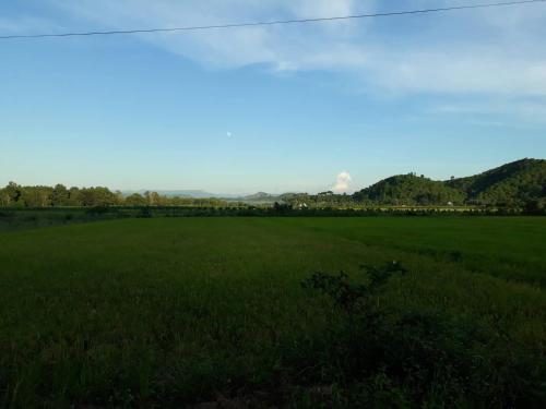 a field of green grass with a factory in the distance at Gibbon Singing Home Stay in Quan Tom
