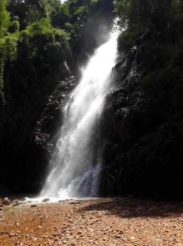 a waterfall on the side of a mountain in a forest at Gibbon Singing Home Stay in Quan Tom