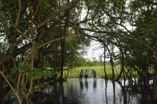 three people walking through a flooded area with trees at Gibbon Singing Home Stay in Quan Tom