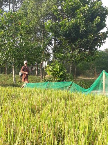 a man standing in a field with a tent at Gibbon Singing Home Stay in Quan Tom