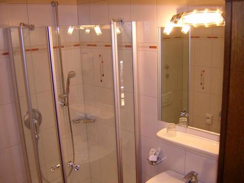 Salle de bains dans l'établissement Hotel Stegner