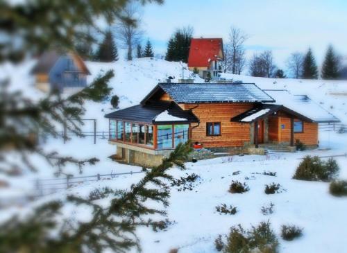a log cabin in the snow with a red roof at Planinska kuća "Sedam Vlašića" in Vlasic