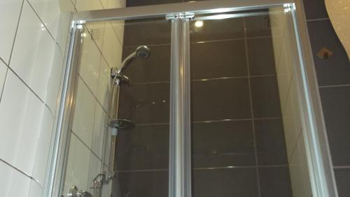 a shower with a glass door in a bathroom at Apartamenty Lejówka in Chochołów