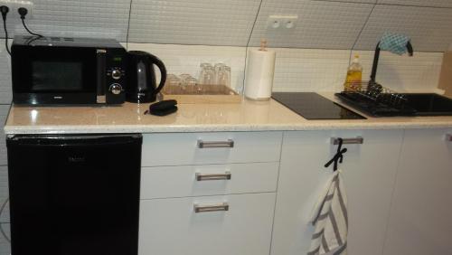 a kitchen counter with a microwave and a sink at Apartamenty Lejówka in Chochołów