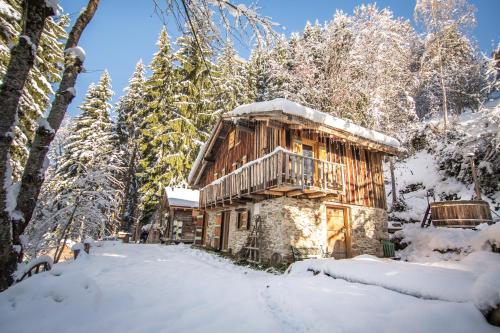 a log cabin in the woods in the snow at Chalet F'Net in Saint-Gervais-les-Bains