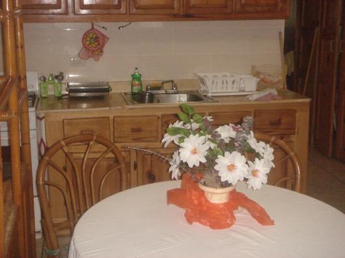a kitchen with a table with a vase of flowers on it at Dre Broeders Apartments Juan Dolio in Juan Dolio