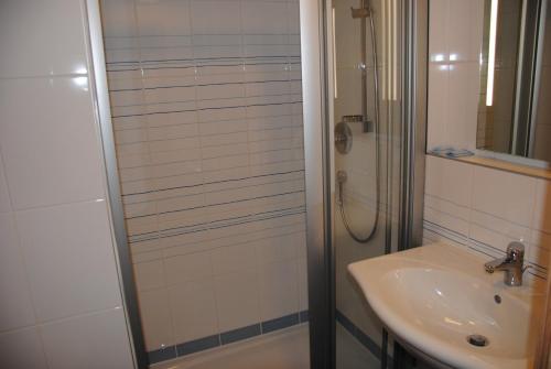 W łazience znajduje się prysznic i umywalka. w obiekcie Hotel Labe w mieście Pardubice