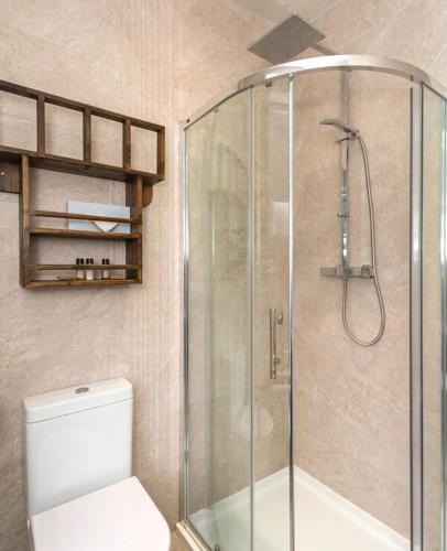 a shower stall in a bathroom with a toilet at McGettigan's Townhouse - Olives & Figs Bistro in Dublin