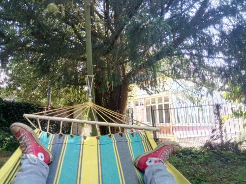 a person laying in a hammock in front of a tree at La maison au fil du temps in Pont-Rémy