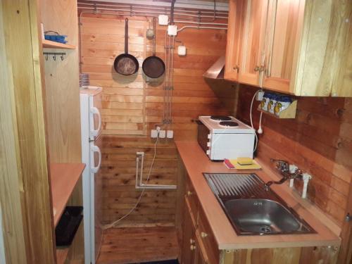 Kuhinja ili čajna kuhinja u objektu Apartmani Etno