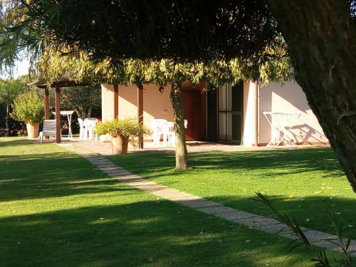 a house with a tree in the yard at Agriturismo Bocci in Castiglione della Pescaia