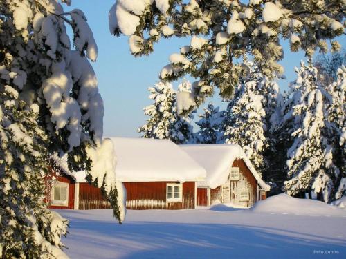 a red barn covered in snow in a forest at Stuga vid Hedenäsets stencafé in Hedenäset