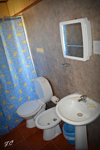 a bathroom with a toilet and a sink and a mirror at Cabañas Maria Maria Conchillas in Conchillas
