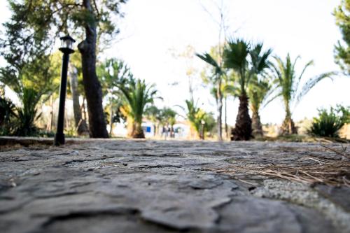 a street with palm trees and a light pole at The SURF hOuSe @ Keros Beach , Kalliopi in Kalliópi
