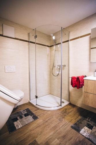 a bathroom with a shower and a toilet at Prünsterhof in Obertilliach