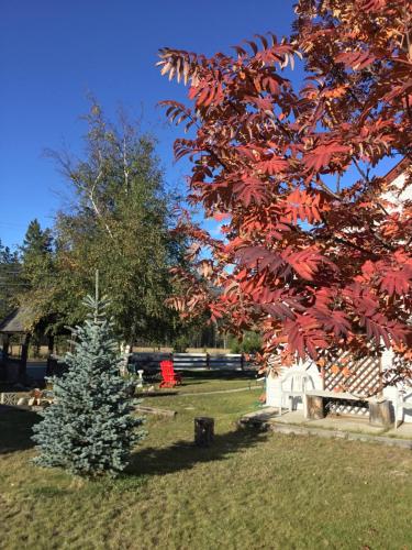 Rose Cottage Bed & Breakfast – Photos 5
