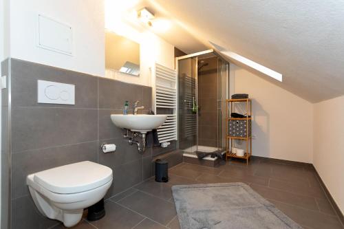 a bathroom with a toilet and a sink at Gästezimmer - Ferienwohnung 2 - Brauhaus Dürr in Dorfprozelten