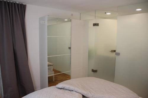 a bedroom with a glass shower and a bed at IW6 in Meersburg