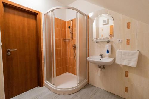 a bathroom with a shower and a sink at Penzion U řízků in Rapotín
