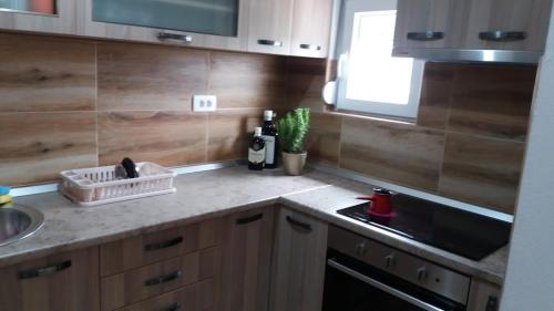 Una cocina o zona de cocina en Apartments Maljevic