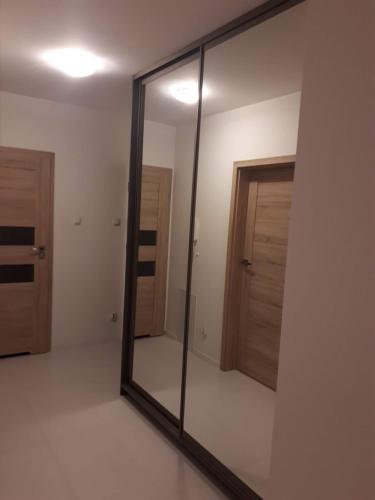 - un grand miroir dans une chambre avec porte dans l'établissement Wielicka Apartment 2, à Cracovie