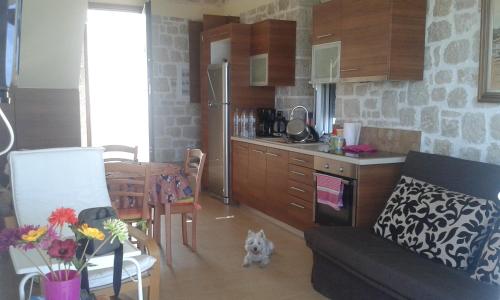 a kitchen and a living room with a couch and a table at Stone House in olive grove in Tolo