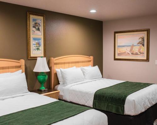 鄧內倫的住宿－The Gator Den，酒店客房,设有两张床和一盏灯