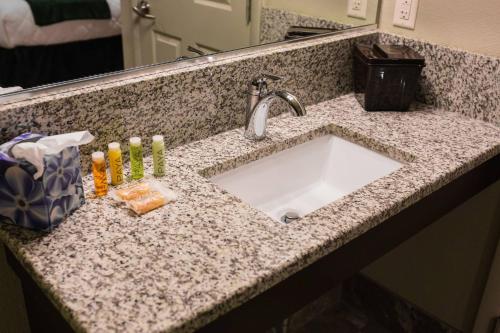 a bathroom counter with a sink in a bathroom at The Gator Den in Dunnellon