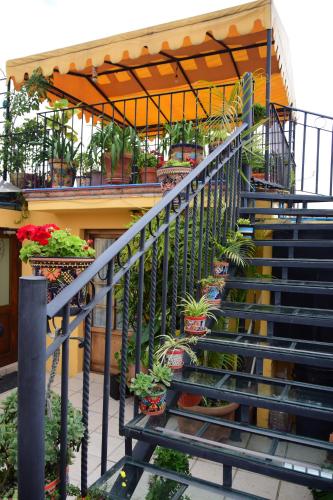 a staircase with potted plants in a building at Casa Maricela B&B in San Miguel de Allende