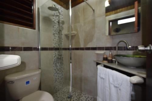 a bathroom with a shower and a toilet and a sink at Shipwatcher Studio w/Mezzanine in Ocho Rios