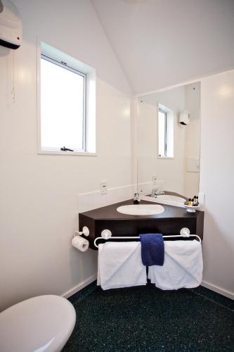 a bathroom with a sink and a toilet and a mirror at Cable Court Motel in Dunedin