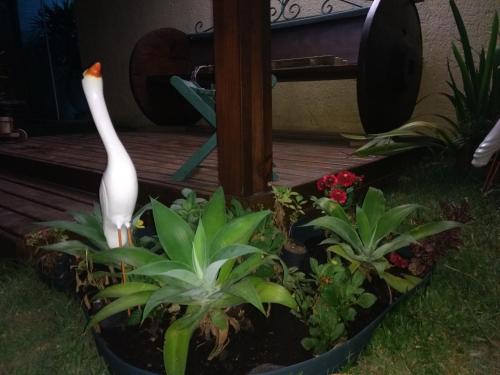 a statue of a swan in some plants at Pousada Santa Genoveva campeche in Florianópolis
