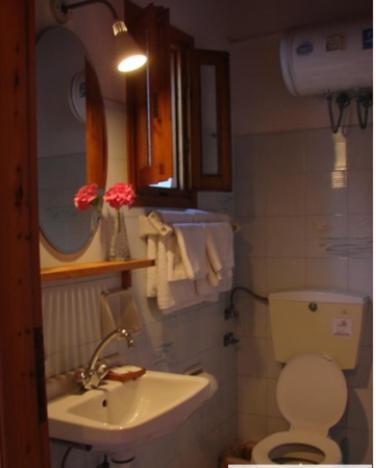 a small bathroom with a toilet and a sink at Harry's Studios 1 in Gaios