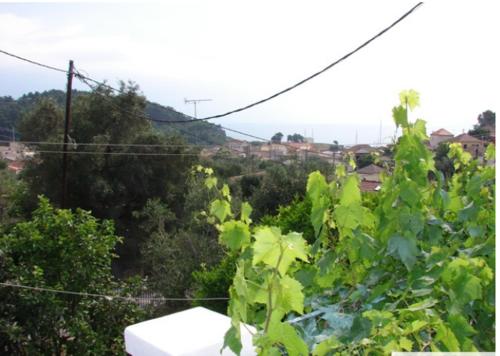 a view of a green plant with a city in the background at Harry's Studios 1 in Gaios