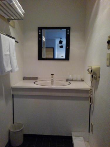a bathroom with a sink and a mirror on the wall at Flower Villa Sagamiko in Sagamihara