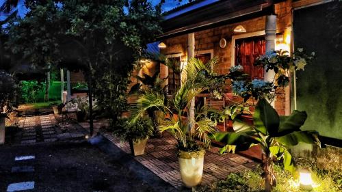 a house with a bunch of plants in front of it at Nancy Guest in Mirissa