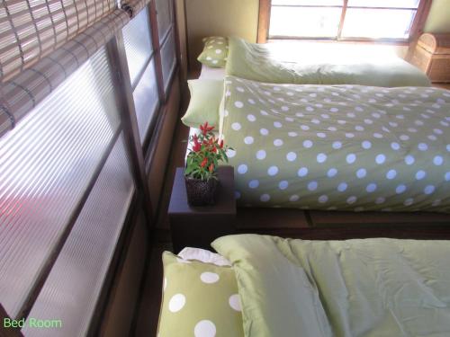 1 dormitorio con 2 camas y una planta sobre una mesa en ゲストハウス杉田 古民家貸切の完全プライベート空間 杉田駅徒歩2分 セルフチェックイン en Yokohama