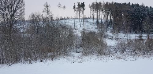 Gallery image of Chata Na Kovárně in Rýmařov