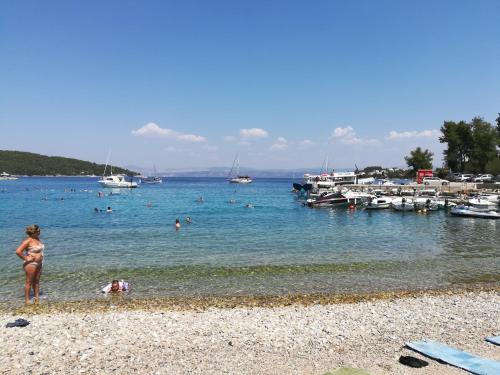 a woman standing on the shore of a beach at Apartment Prancic in Nečujam