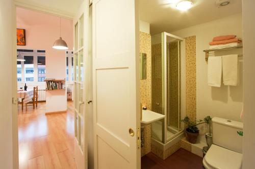 ジローナにあるGirona Riversideのバスルーム(トイレ、洗面台、鏡付)